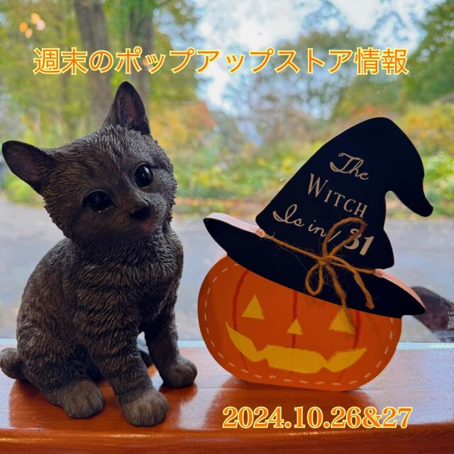 山梨 クリアランス 猫 グッズ